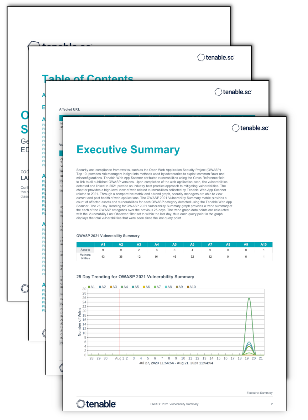 OWASP Categories Report